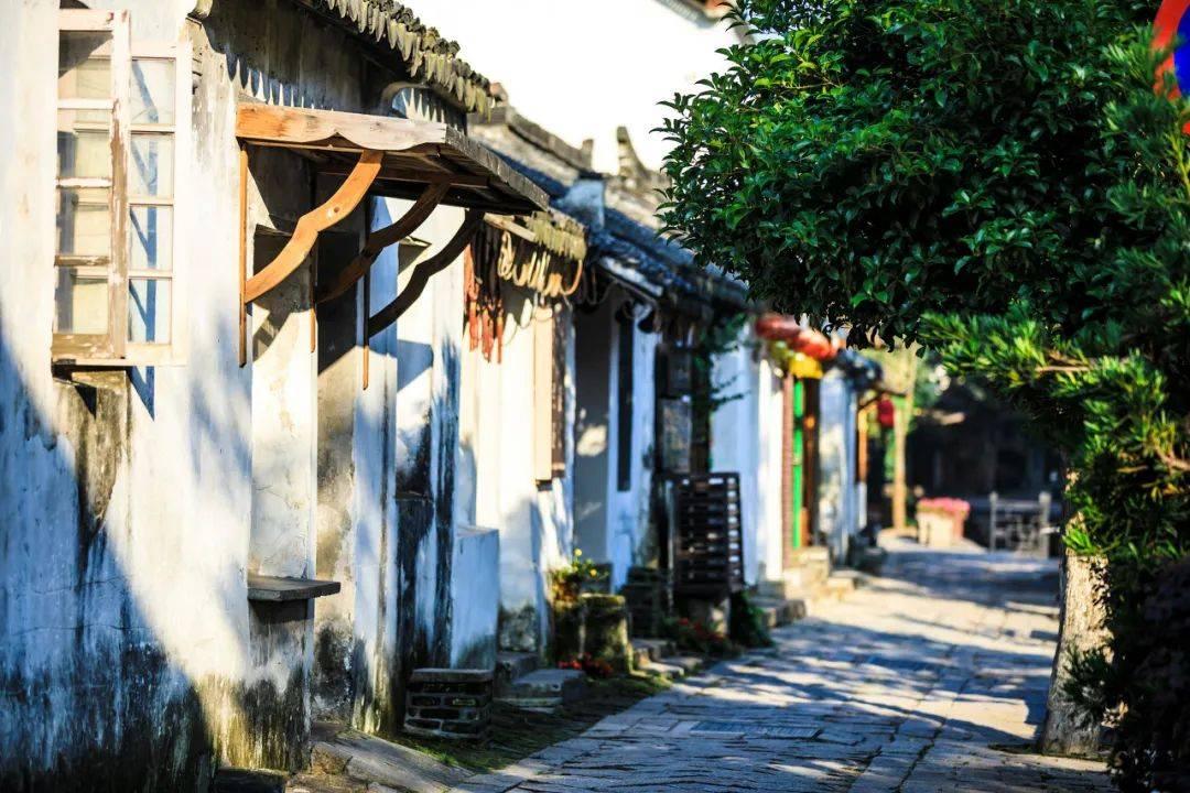被禁止的道路